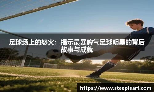 米兰(中国)体育官方网站